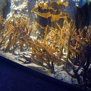 Various pictures of NAIB