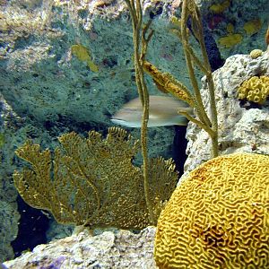 Various pictures of NAIB