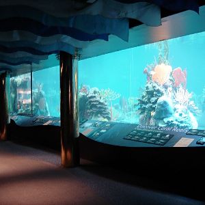 Various pictures of NY Aquarium