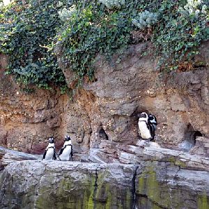 Various pictures of NY Aquarium