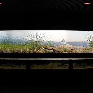 Various pictures of NY Aquarium