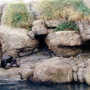 Various pictures of NY Aquarium