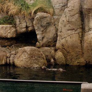 Various pictures of NY Aquarium