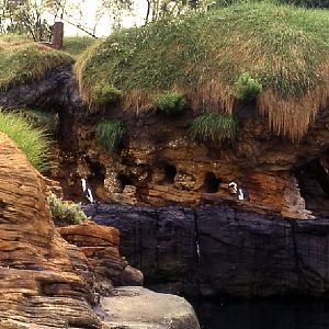 Various pictures of NY Aquarium