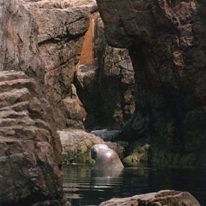 Various pictures of NY Aquarium