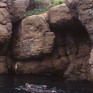 Various pictures of NY Aquarium