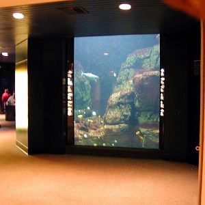 Various pictures of NY Aquarium