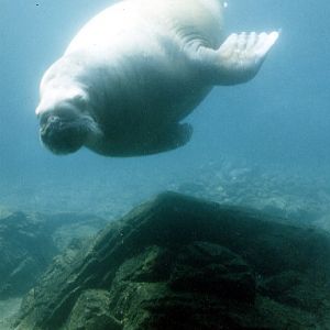 Various pictures of NY Aquarium