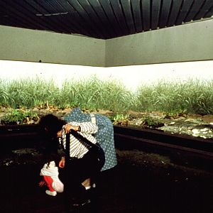 Various pictures of NY Aquarium