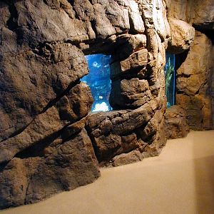 Various pictures of NY Aquarium