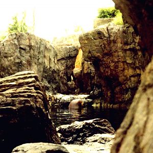 Various pictures of NY Aquarium