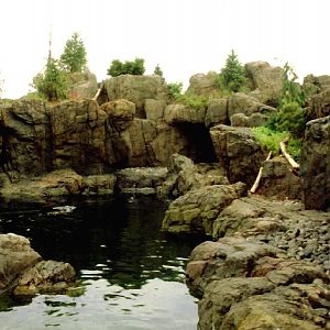 Various pictures of NY Aquarium