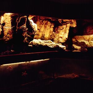 Various pictures of NY Aquarium