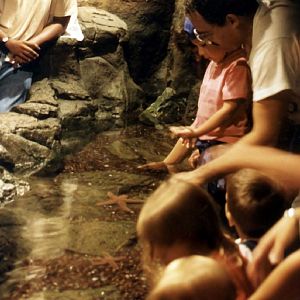 Various pictures of NY Aquarium