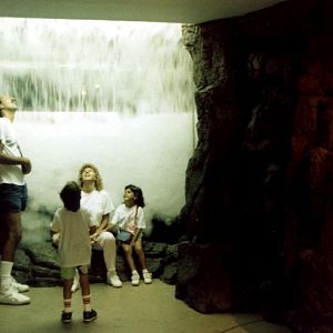 Various pictures of NY Aquarium