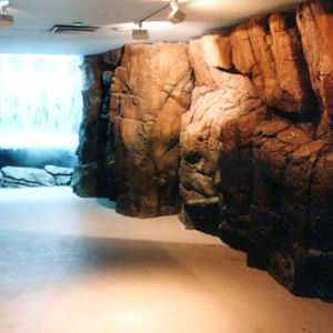 Various pictures of NY Aquarium