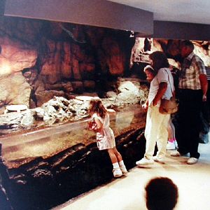 Various pictures of NY Aquarium