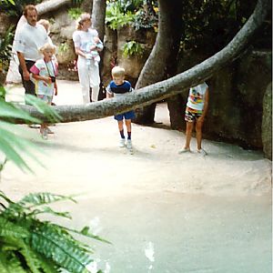 Various pictures of Pt Def zoo and aquarium