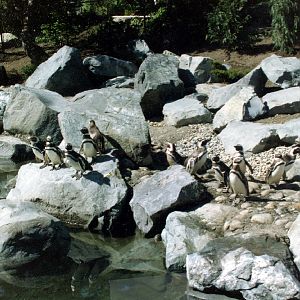 Various pictures of Pt Def zoo and aquarium