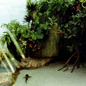 Various pictures of Pt Def zoo and aquarium