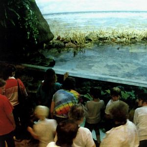 Various pictures of Pt Def zoo and aquarium