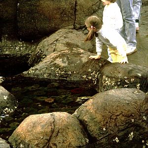 Various pictures of Pt Def zoo and aquarium