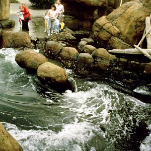 Various pictures of Pt Def zoo and aquarium