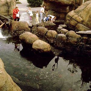 Various pictures of Pt Def zoo and aquarium