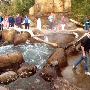 Various pictures of Pt Def zoo and aquarium