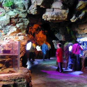 Various pictures of gatlinburg