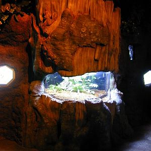 Various pictures of gatlinburg