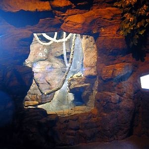 Various pictures of gatlinburg