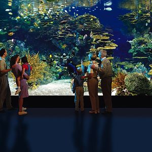 Various pictures of gatlinburg