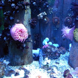 Various pictures of MB