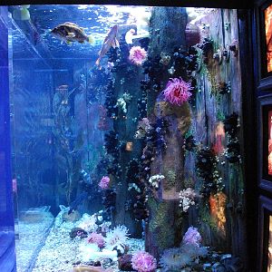 Various pictures of MB