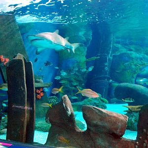 Various pictures of MB