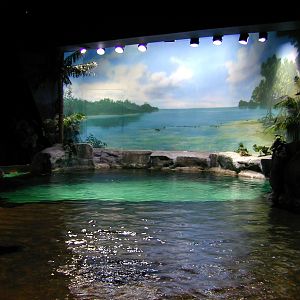 Various pictures of MB