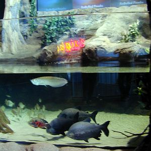 Various pictures of MB