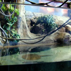 Various pictures of MB