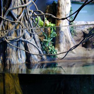 Various pictures of MB