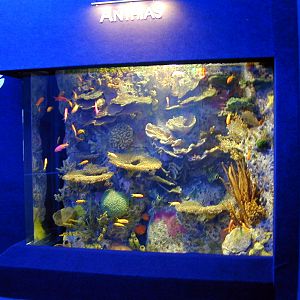 Various pictures of MB