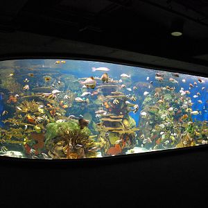 Various pictures of MB