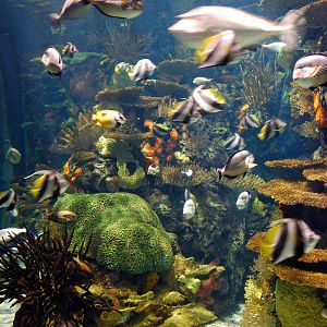 Various pictures of MB