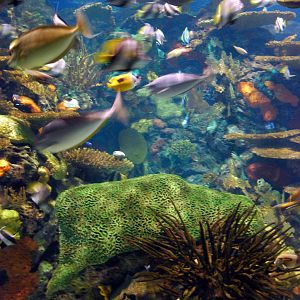 Various pictures of MB