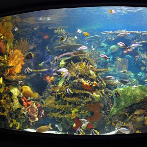 Various pictures of MB