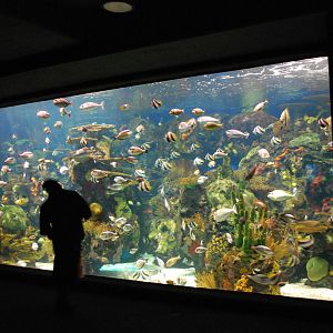 Various pictures of MB