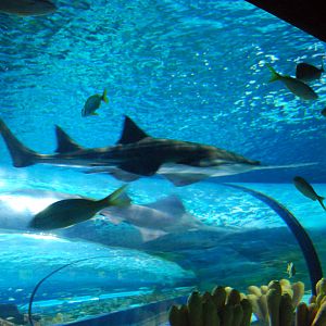 Various pictures of MB