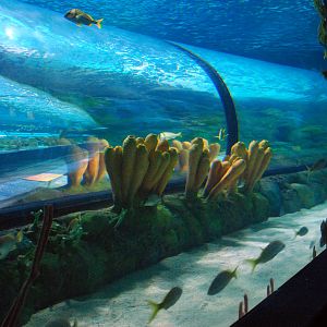 Various pictures of MB