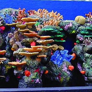 Various pictures of MB