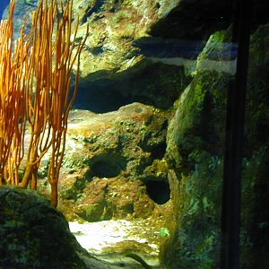 Various pictures of MB